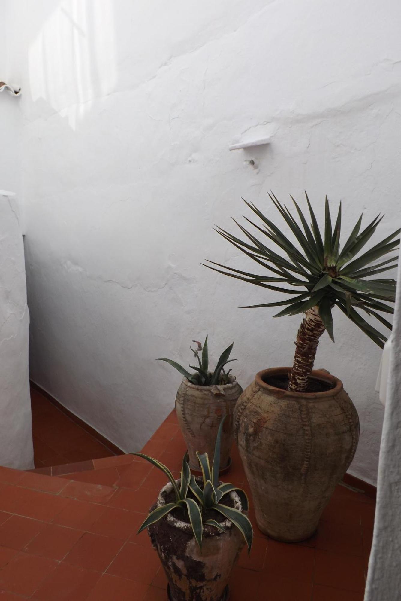 Casa Elvira Βίλα Cómpeta Εξωτερικό φωτογραφία